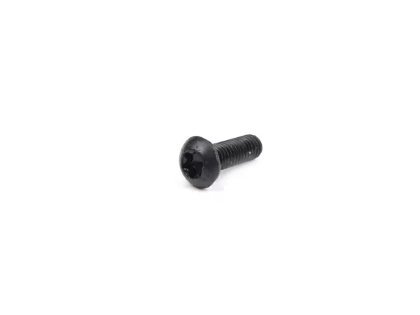 Screw Torx -ISO 7380/1 M4 x 12mm- TX20 - 10.10