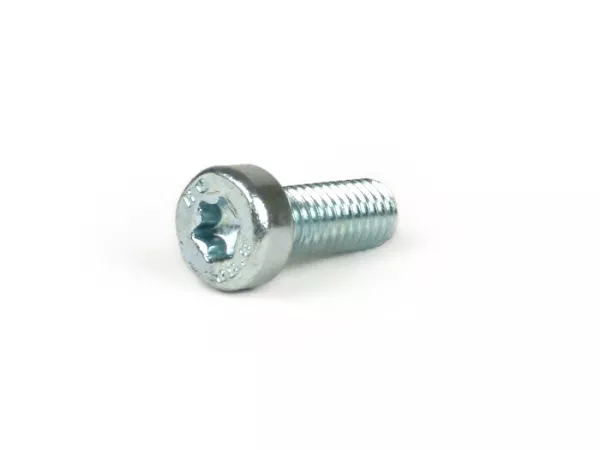 Screw Torx -ISO14580 M5 x 12mm -TX25 - 8.8