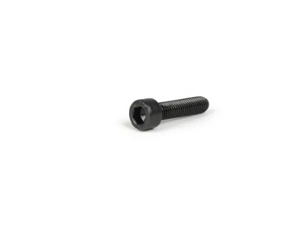 Schroef -DIN 912- M6 x 25mm - gepolijst (gebruikt voor Lambretta A, B, C, LC, D, LD motorhuizen)