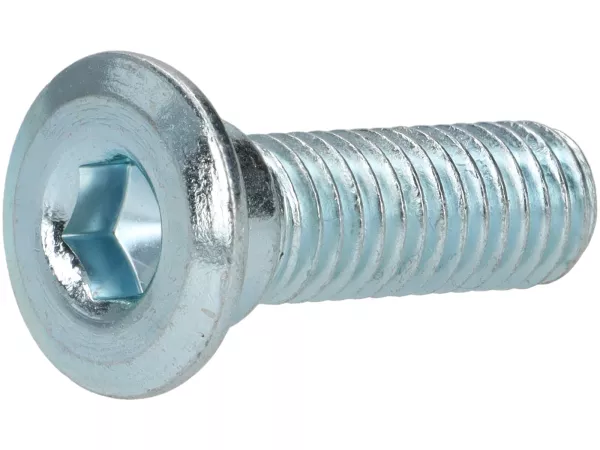 Vis tête plate -UNIVERSEL pour disques de frein- M8 (pour disques de frein avec trous de 10mm) - 1 unité