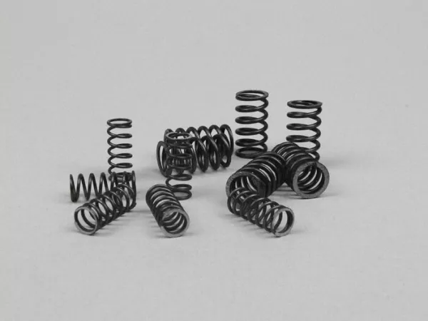 Kupplungsfeder-Set -NEWFREN- Vespa PK50 XL FL (V5N1T), PK50 HP (V5N2T), PK50 XL2 (V5X3T), PK125 N FL (VMX7T), PK125 XL2 (VMX6T) - 12 Stück