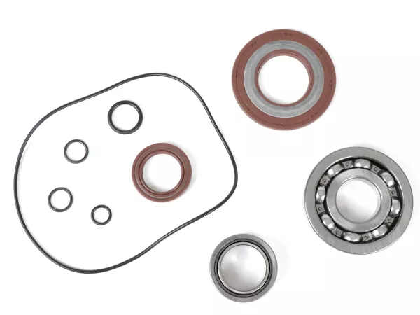Bearing and oil seal set for crankshaft -BGM PRO FKM/Viton® (E10/etahnol resistant)- Vespa PX - rubber type - incl. O-rings