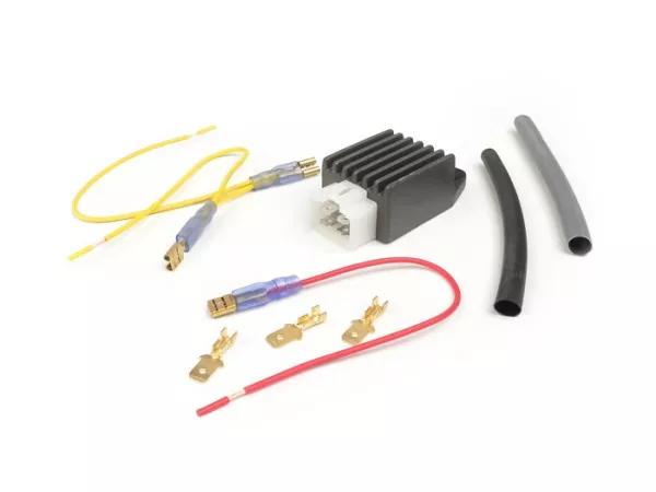 Spanningsregelaar -4-pins BGM PRO 6V AC/DC- universeel
