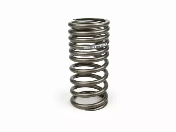 Front shock absorber spring -BGM PRO für BGM PRO SC/F16  soft progressive- Vespa PK - grey