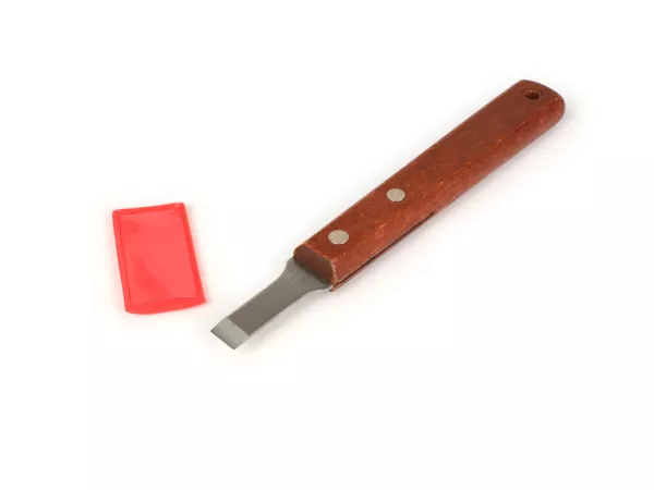 gasket scraper tool stainless steel -101 OCTANE- 10mm