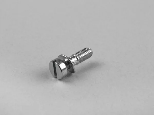 Tornillo de la cámara de flotación -DELLORTO- PHBG