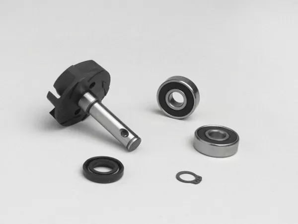 Kit revisione pompa acqua Minarelli 50 ccm LC