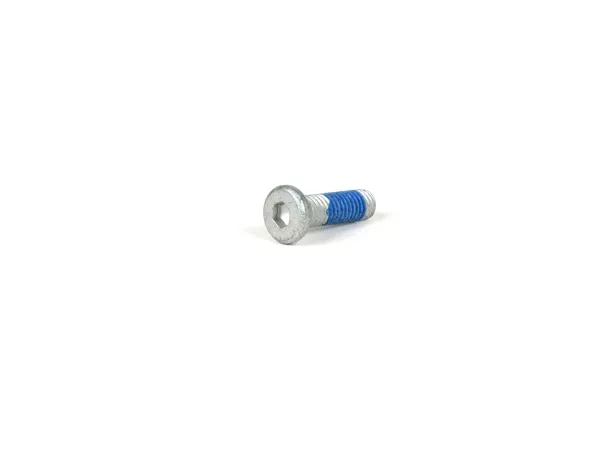 Binnenzeskantbout, lage kop -PIAGGIO M6 x20mm- gebruikt voor remschijf Vespa GTS 125-300 (2016-)