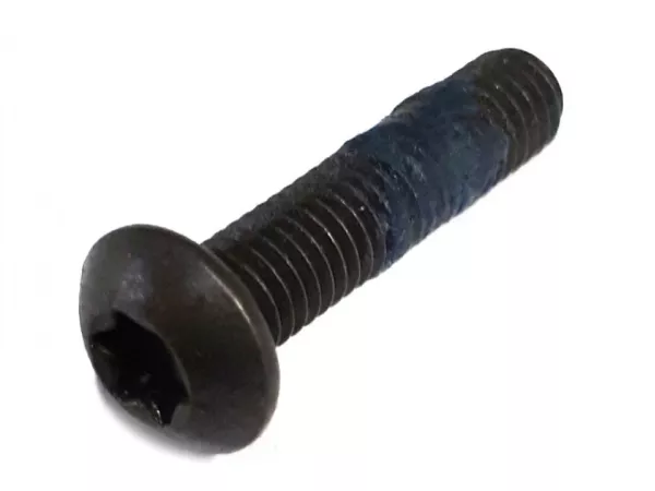 Screw lens head Torx M5 x 22 -ISO7380-1 TX-