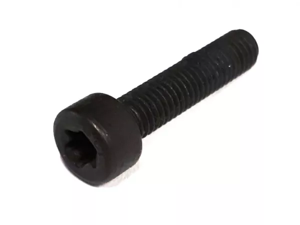 Screw Torx M5 x 22 -ISO14579 TX-