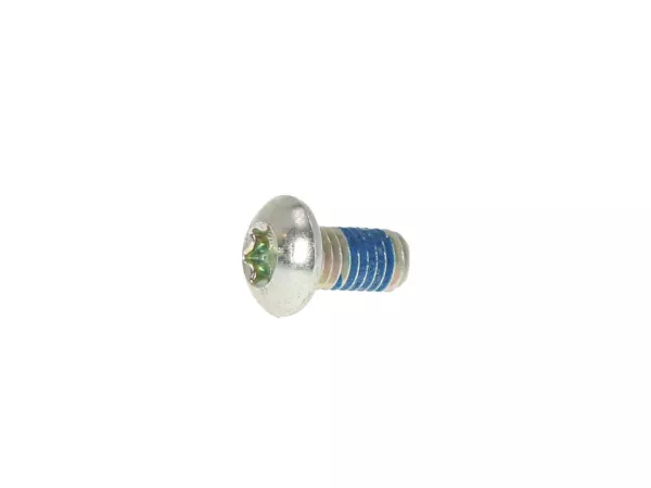 Screw Torx -ISO 7380/1 M5 x 10mm TX25