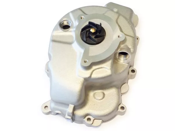 Alternatorkap, waterpomp -PIAGGIO- Vespa GTS HPE 300 (ZAPMA3600, ZAPMD310), Vespa GTS Super HPE 300 (ZAPMA360, ZAPMD3100), Vespa GTV HPE 300 (ZAPMA3602, ZAPMA362, ZAPMD3102), Piaggio MP3 HPE 300 (ZAPTA2100, ZAPTD2100)