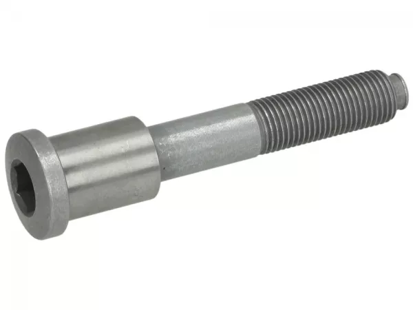 Schraube für Stoßdämpfer vorne, unten, Befestigungstyp Auge -PIAGGIO- Vespa GTS 250 (ZAPM45100), Vespa GTS 300 (ZAPM45200, ZAPM45202), Vespa GTS Super 125 (ZAPM45300, ZAPM45301), Vespa GTS Super 300 (ZAPM45200, ZAPM45202), Vespa Primavera 125 (ZAPM81100,
