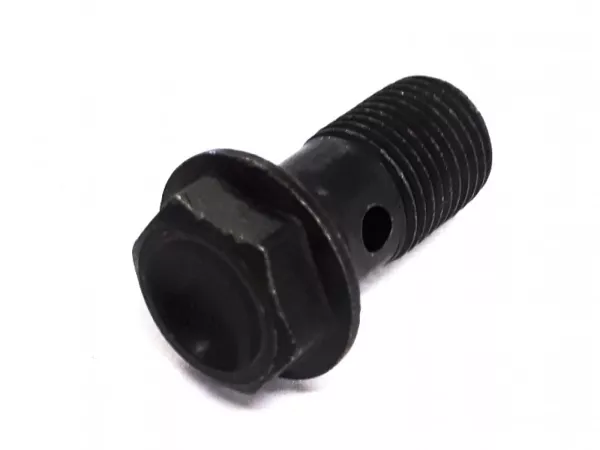 Banjo bolt -M10 x 1.00- steel