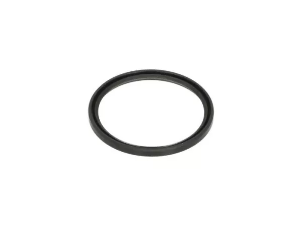 Cincin segel poros -PIAGGIO- 34x39x3mm - untuk katrol konverter torsi yang dapat digerakkan - Vespa GTS 125-150, 946 125-150, LX 50-150, LXV 50-150, S 50-150, Primavera 50-150, Sprint 50-150, ET2, Piaggio NRG, Free 50-100, Fly 50-125