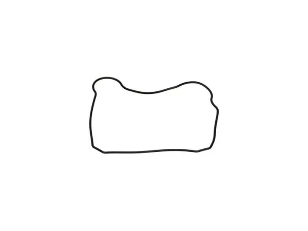 Valve cover gasket -PIAGGIO- Vespa ET4 125, Piaggio Sfera 125