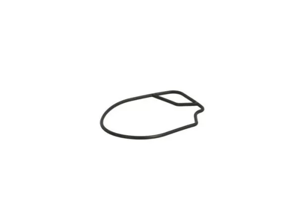 Float chamber gasket -PIAGGIO- Piaggio NRG Power
