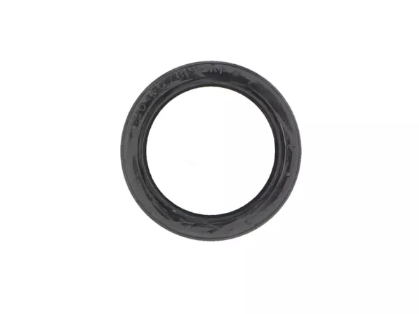 Cincin penyegel -PIAGGIO- Piaggio ZIP RST Liberty