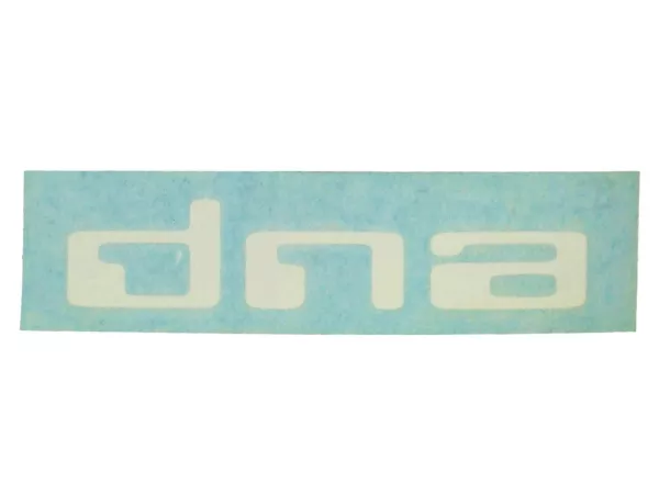 Placa de ADN -PIAGGIO- Gilera DNA