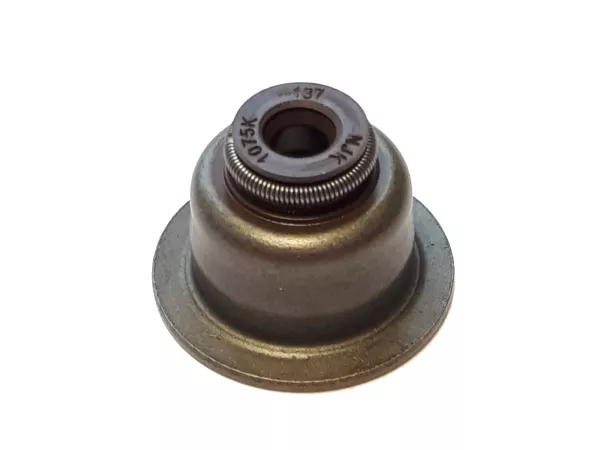 Dudukan pegas katup dengan segel batang katup -PIAGGIO- Vespa GTS 125 (ZAPMA3100, ZAPMA3200, ZAPMA3700), Vespa GTS 150 (ZAPMA3100, ZAPMA3200), Vespa GTS Super 125 (ZAPMA3100, ZAPMA3200, ZAPMA3700, ZAPMA3701), Vespa LT 125 (RP8M66503), Vespa LT 150 (RP8M66
