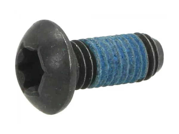 TBEI (Torx TX) skruv M 5x12 -PIAGGIO- Gilera Fuoco