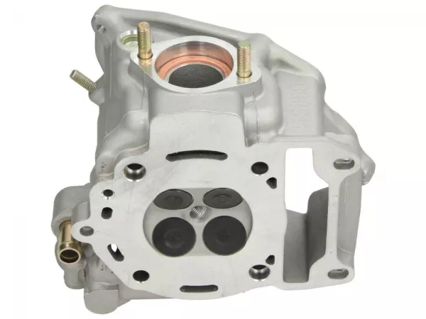 Cilinderkop -PIAGGIO- Vespa GTS 300 (ZAPM45200, ZAPM45202, ZAPMA3300), Vespa GTS Super 300 (ZAPM45200, ZAPM45202, ZAPMA3300), Vespa GTS Super Sport 300 (ZAPM45200), Vespa GTV 300 (ZAPM45201, ZAPMA3302), Aprilia Atlantic 250 (ZD4SPE), Aprilia Atlantic 300