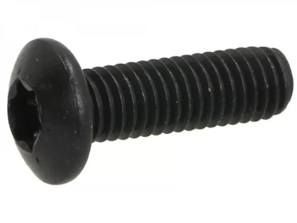 Screw Torx -ISO 7380/1 M5 x 16mm- TX25