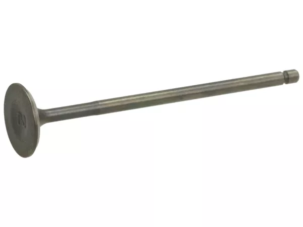 Katup masuk Ø = 20.00mm -PIAGGIO- Vespa Primavera 125 (ZAPM81100, ZAPM81101, ZAPMA1100, RP8M82500, RP8M82821, RP8M82100, RP8M82310, ZAPMA1101, ZAPMD1100), Vespa Primavera 150 (ZAPM81200, ZAPMA1200, ZAPM81201, ZAPMA1201), Vespa Sprint 125 (ZAPM81300, ZAPM8