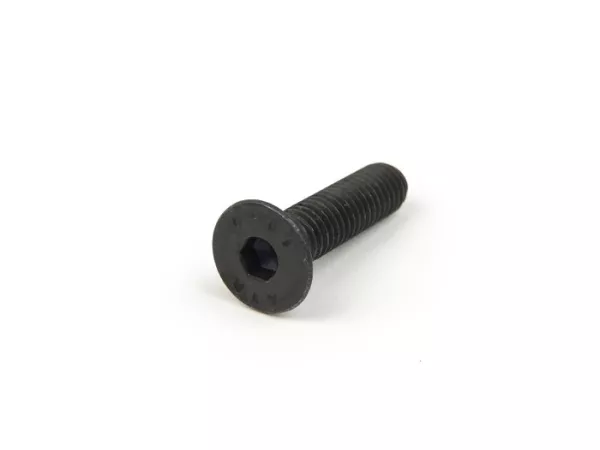 Verzonkenkopschroef met binnenzeskant -DIN7991- M6 x 25mm (sterkte 10,9)