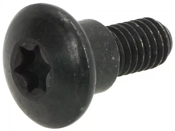 Sekrup M6 x 10mm untuk bagian panel dengan bahu -PIAGGIO- Torx