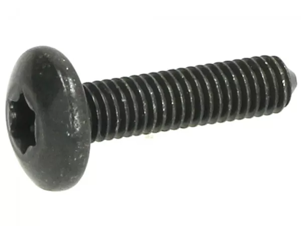 Screw body parts M6 x 25mm w/o step -PIAGGIO- Torx head