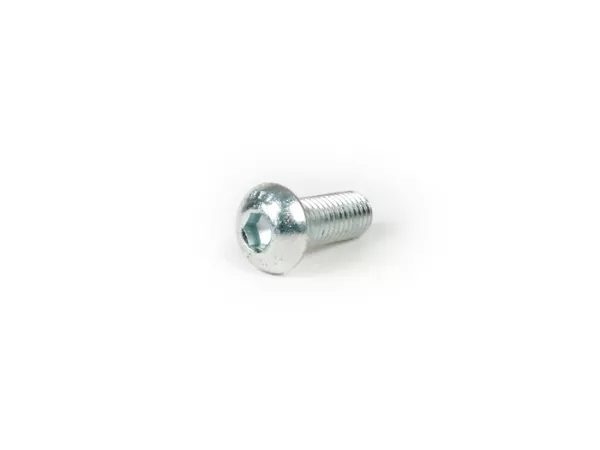 Binnenzeskantbout -ISO 7380- M10 x 25mm (sterkte 10,9)
