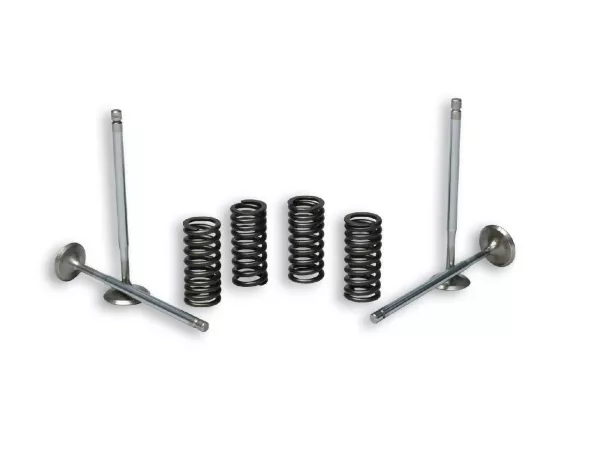 Valves + valve springs -MALOSSI- Piaggio Leader 125-200 cc LC, Quasar 250 cc
