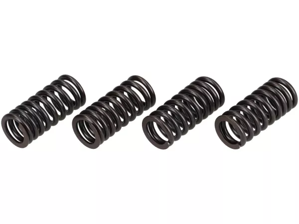 Muelles de válvula -MALOSSI- Piaggio Leader 125-200 ccm LC, Quasar 250-300 ccm