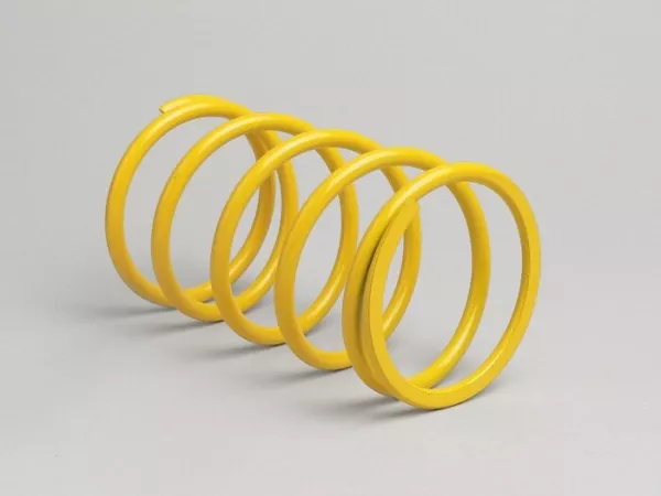 Tegendrukveer -MALOSSI Versterkt- Minarelli 250 ccm