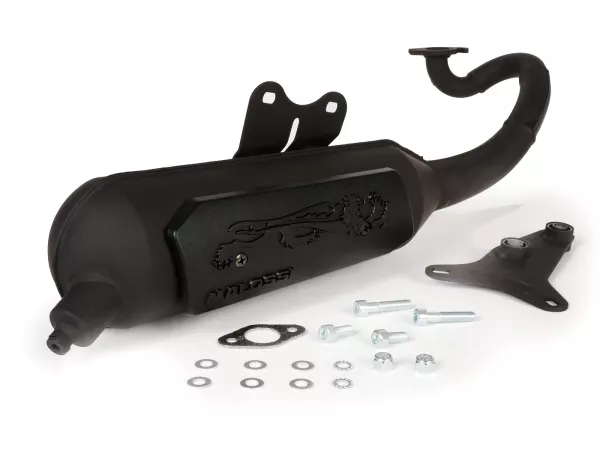 Exhaust -MALOSSI WILD LION homolgated- APRILIA Scarabeo 50 2T (Minarelli)