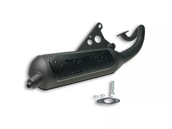 Exhaust -MALOSSI WILD LION homolgated- APRILIA SR, SR Netscaper, SR Racing, SR Replica, SR Stealth, SR WWW, MALAGUTI F10, MBK Forte, YAMAHA Axis, JOG, JOG ER, JOG R, JOG Z