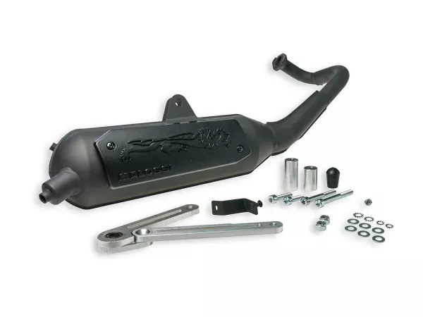 Exhaust -MALOSSI WILD LION homolgated- KYMCO Agility R16, Dink, People, Super 9, Top Boy/Cobra