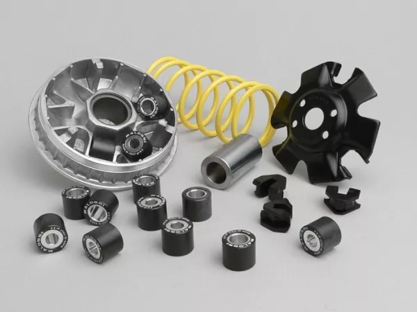 Variator-Kit -MALOSSI Multivar 2000- Rotax 125-150 cc