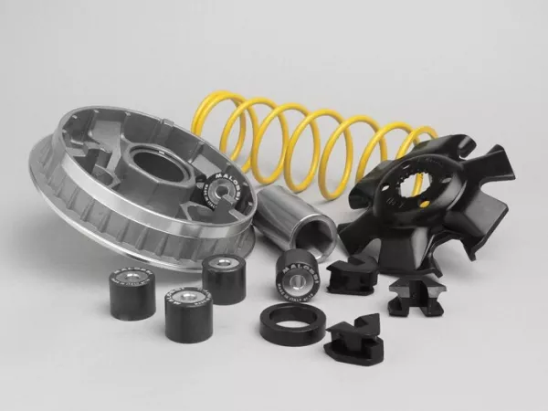 Variomatic -MALOSSI Multivar 2000- Suzuki 125-150 ccm (tipo Burgman UH)