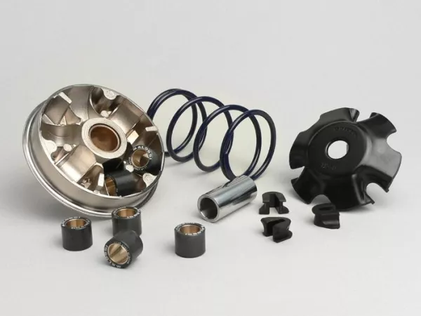 Variator-Kit -MALOSSI Multivar 2000- Peugeot 100 cc (models with cat)