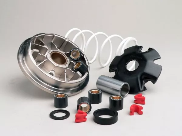 Variator-Kit -MALOSSI Multivar 2000- Ditech