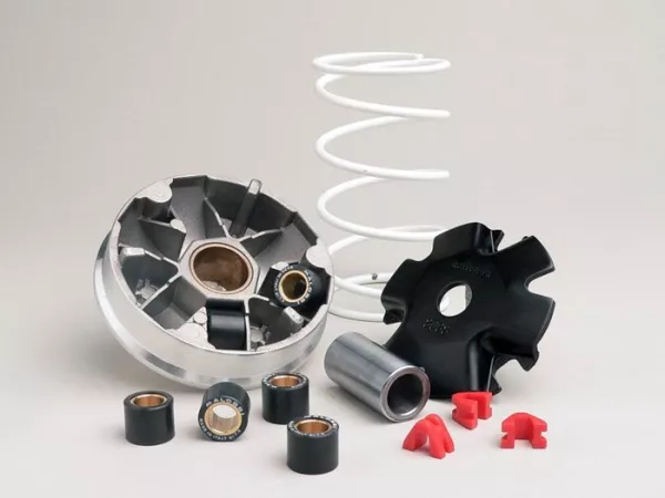 Variomatic -MALOSSI Multivar 2000- GY6 (4-takt) 50 ccm (Typ 139QMB)
