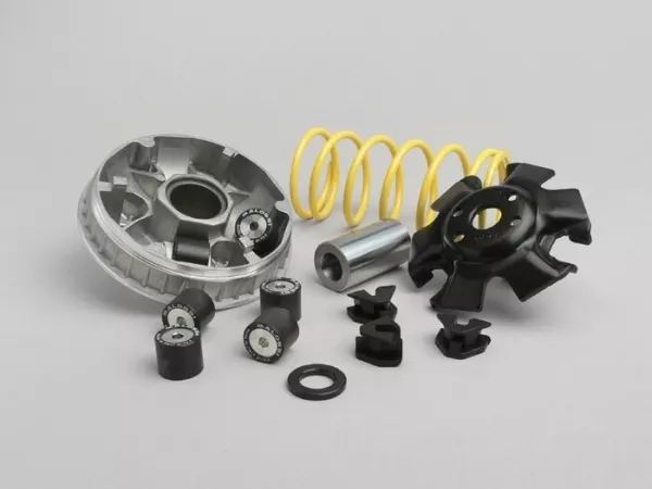 Variomatik -MALOSSI Multivar 2000- GY6 (4-Takt) 125 ccm (152QMI), GY6 (4-Takt) 150 ccm (157QMJ)