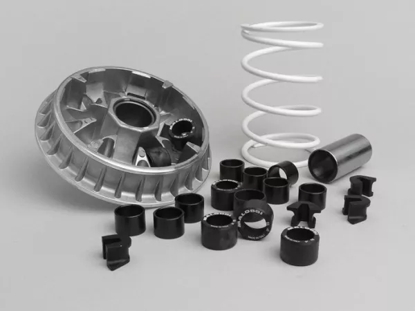 Kit variateur -MALOSSI Multivar 2000- Piaggio Master 400-500 cc (depuis May 2004) - 25x17mm (8x 15gr)