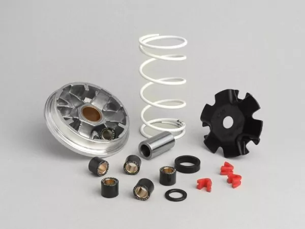 Variator-Kit -MALOSSI Multivar 2000- Yamaha 50 cc (type Giggle A311E Euro 2)