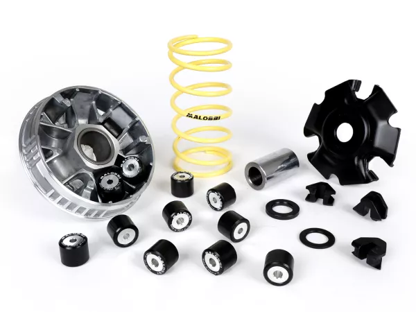 Variateur -MALOSSI Multivar 2000- PEUGEOT Django 150, LXR 125, Tweet 125, SCOMADI TT125, SYM Euro MX 125, GTS 125, HD Evo I 125, Mio 115, Fiddle III 125, Symphony 125, ROYAL ALLOY GP 125, LAMBRETTA V 125 Special