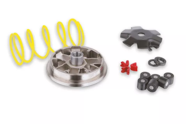 Variomatic -MALOSSI Multivar 2000 HOMOLOGATED- Minarelli 50 ccm (Typ MA, MY, CW, CA, CY)