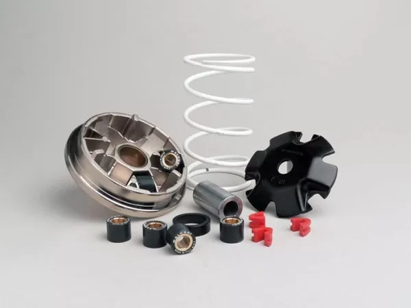 Variator -MALOSSI Multivar 2000- Peugeot 50 ccm vertikal - SPEEDFIGHT1 50, SPEEDFIGHT2 50, XFIGHT50, METALX50, TKR50, TREKKER50, VIVACITY50, BUXY50, ELYSEO50, ELYSTAR50, ELYSTAR50TSDI, LOOXOR50, SPEEDAKE, SQUAB50, ZENITH50