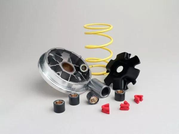 Variomatik -MALOSSI Multivar 2000- PGO 50 ccm (Typ Big Max)